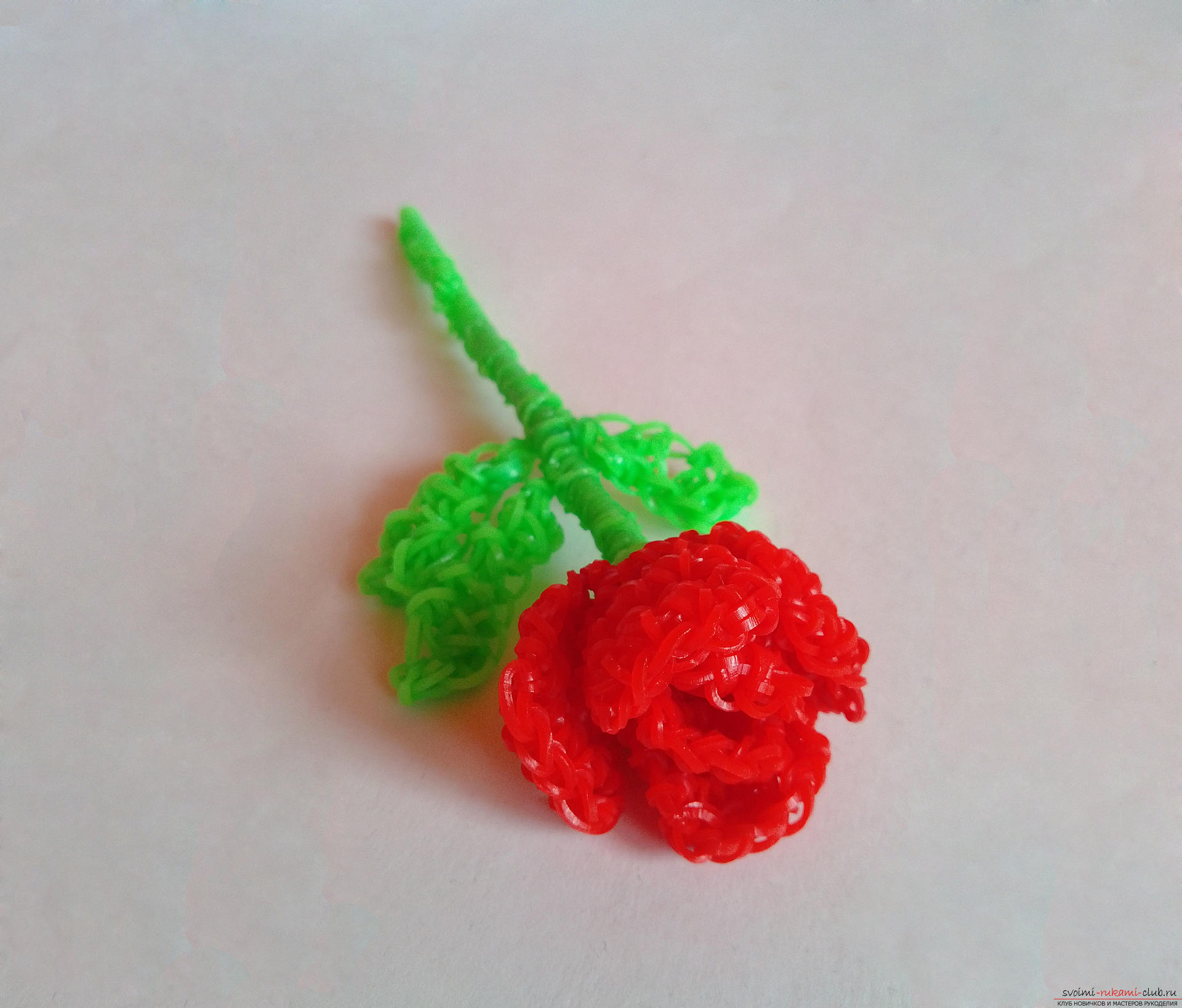 Мастер-класс по плетению цветка розы из резинок со стеблем – подробная инструкция и фото.. Фото №1
